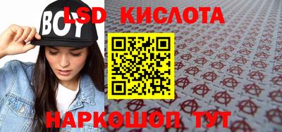 Альфа ПВП Малгобек